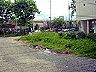 eileo_02
